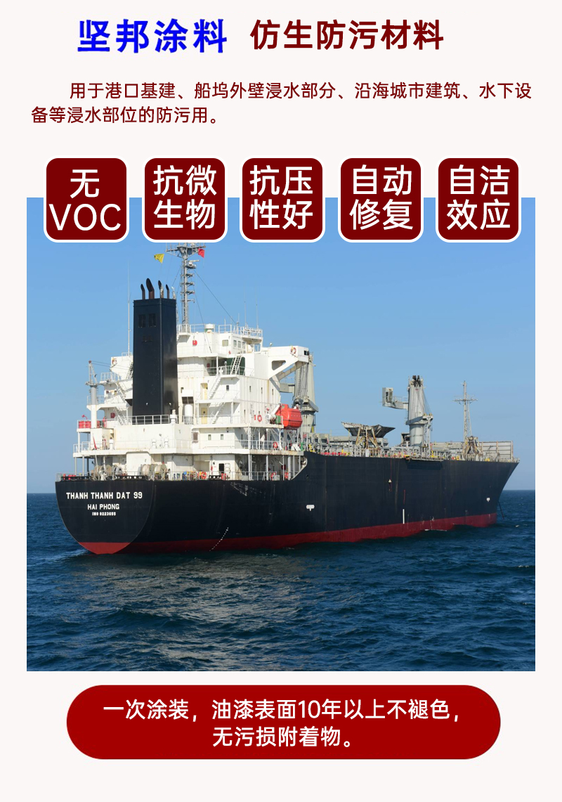 202501041370.jpg 5.jpg