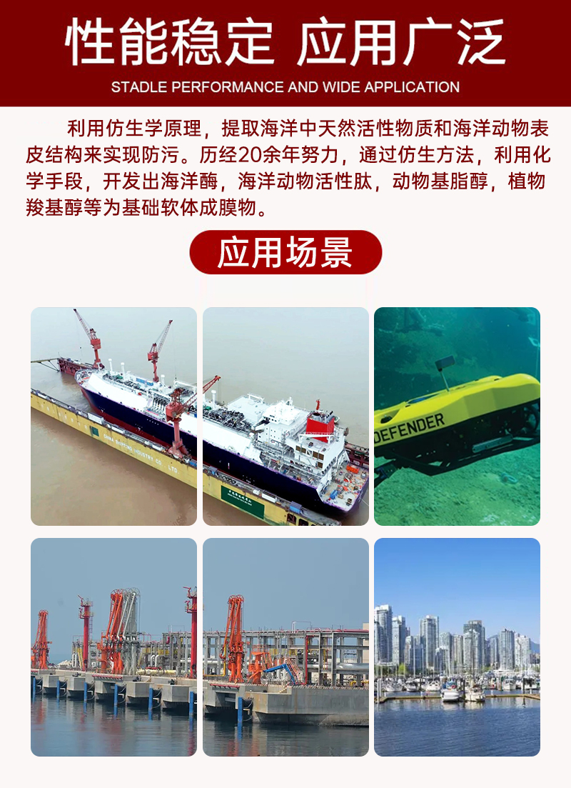 202501042057.jpg 6.jpg